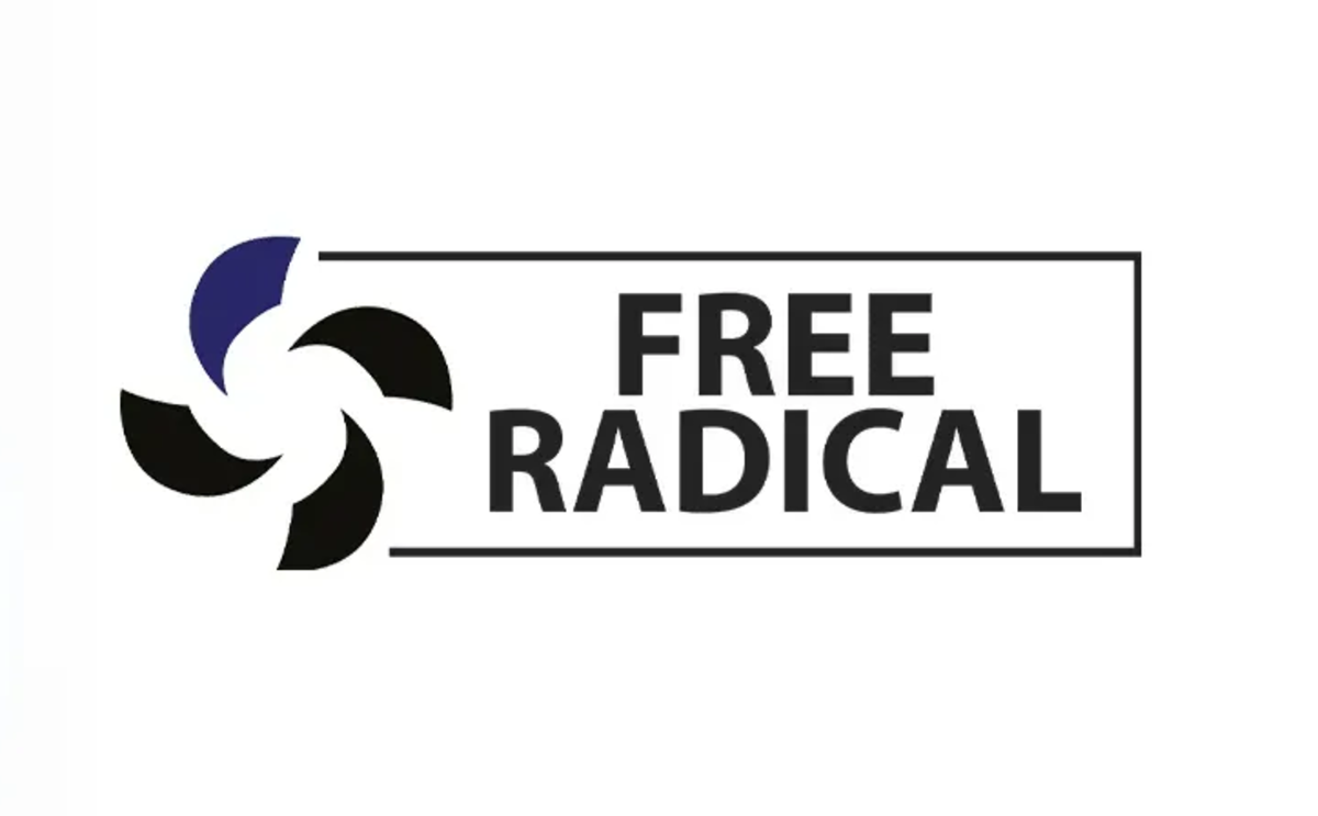 Former Embracer Group developer Free Radical logo