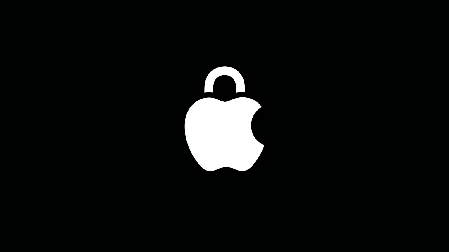Apple privacy logo