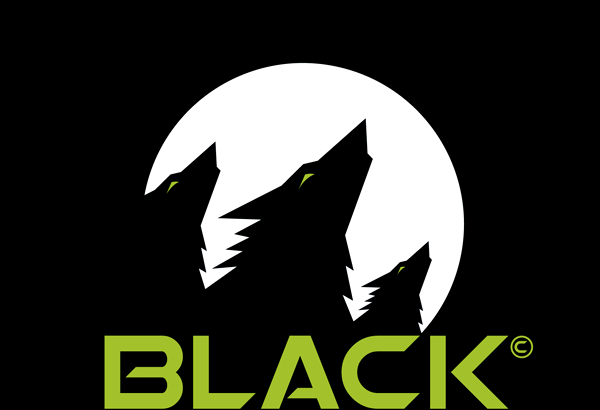 Black Forest Games logo